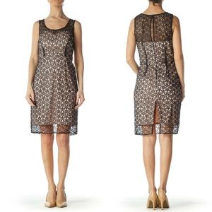 NWOT Ann Taylor Pink and Black Eyelet Lace Dress Sleeveless Mesh Overlay Size 14